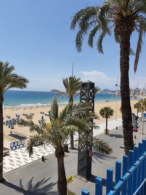 Property grounds - Star of mediterranean apartment (Benidorm)