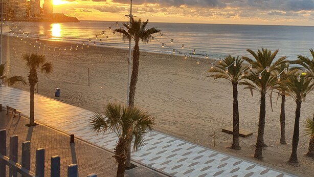 Blick auf einen Strand mit Palmen, einer Promenade und einem Sonnenuntergang.