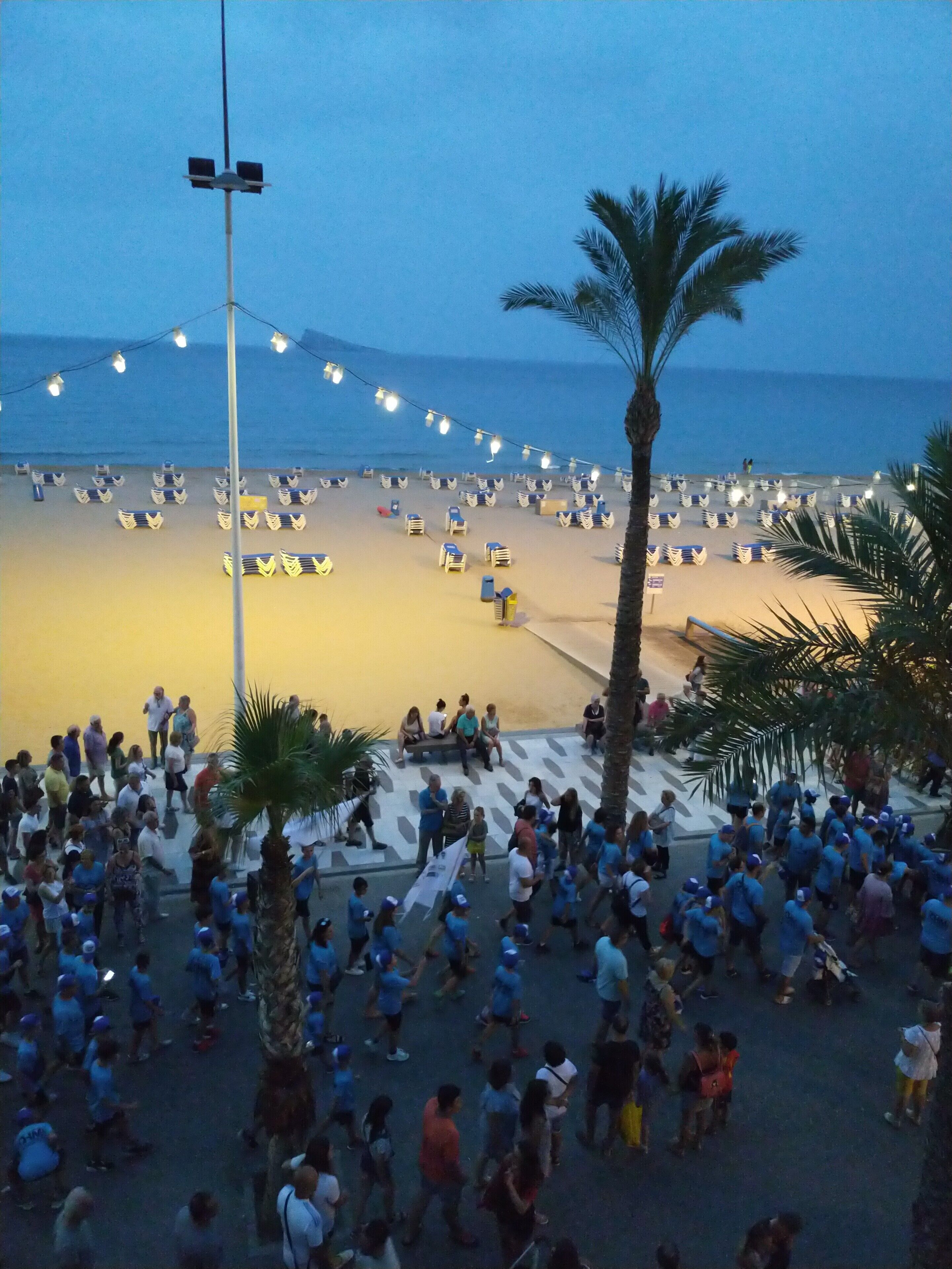 Une zone située au bord de la plage, avec des rangées de chaises de plage et de parasols, un palmier et une foule de personnes.