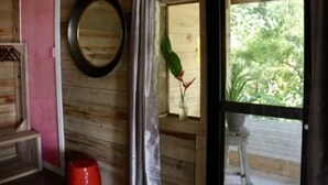 A wooden room with a door, a circular mirror, a window with a view of greenery, and a red bucket.