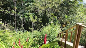 A wooden staircase leading up to a platform surrounded by lush greenery and various plants.