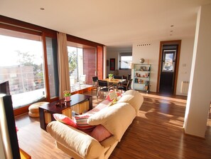 TV, DVD player, books, music library