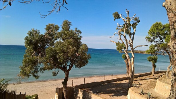 Blick auf die Küste mit einem Sandstrand, einem klaren blauen Meer und vereinzelten Bäumen.