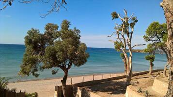 Vlak bij het strand, ligstoelen aan het strand, strandlakens