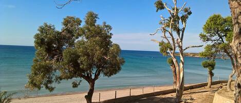Plage à proximité, chaises longues, serviettes de plage
