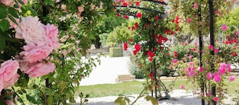 Lavande House in Provence - Historic Provençal estate at the foot of Mont Ventoux