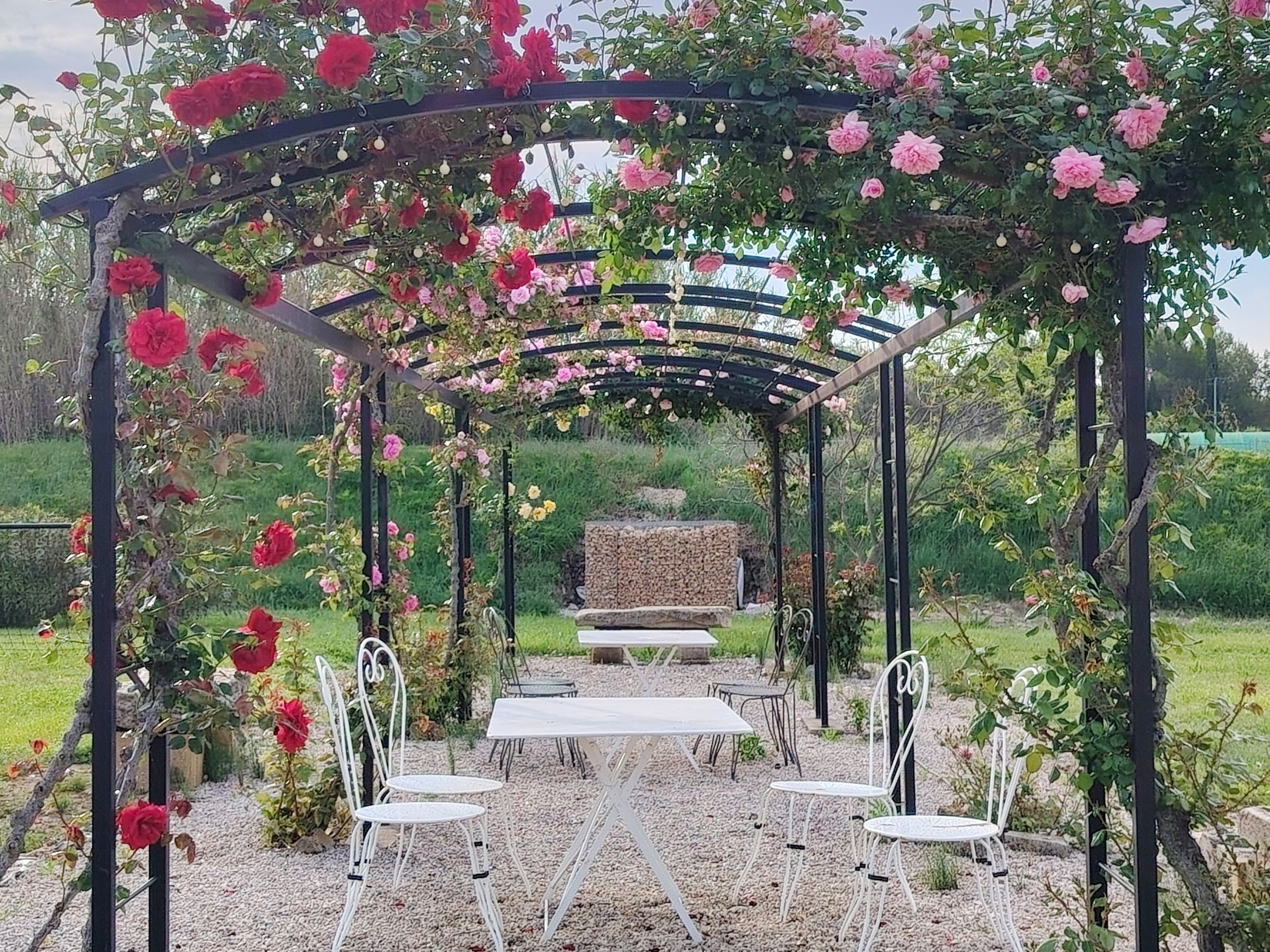 Opções para refeição ao ar livre