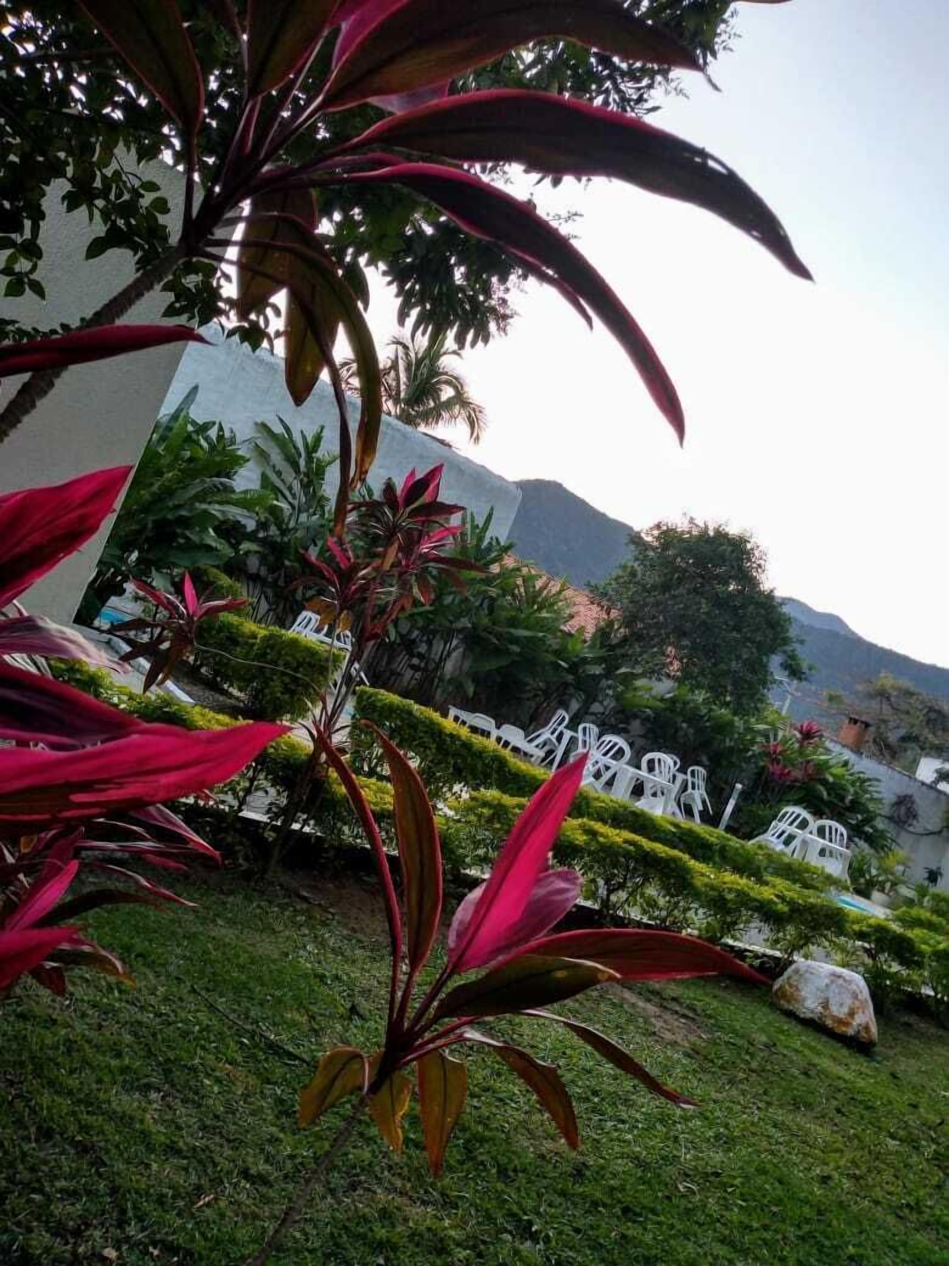 Jardim