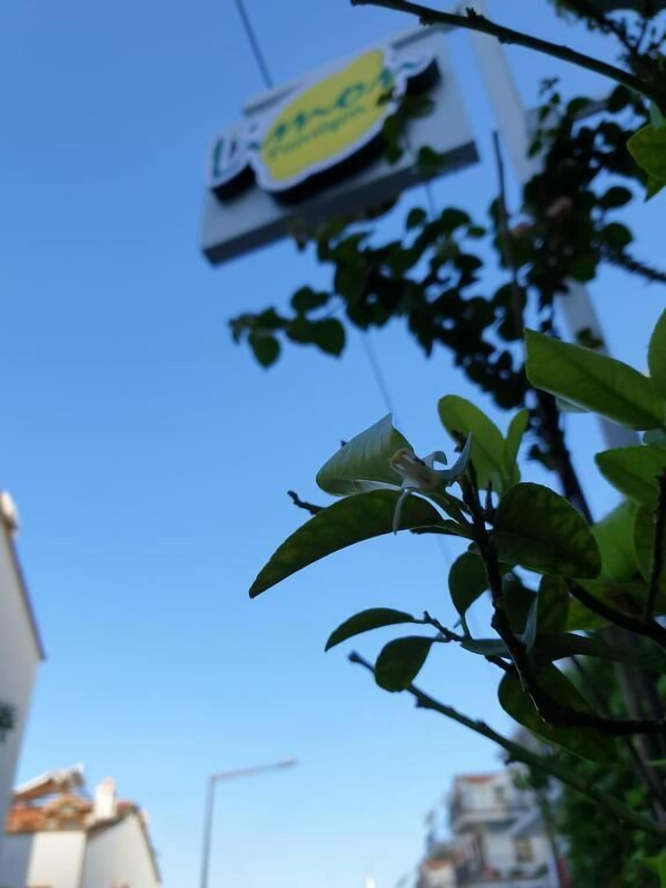 Un cielo azul despejado con un cartel en un edificio.