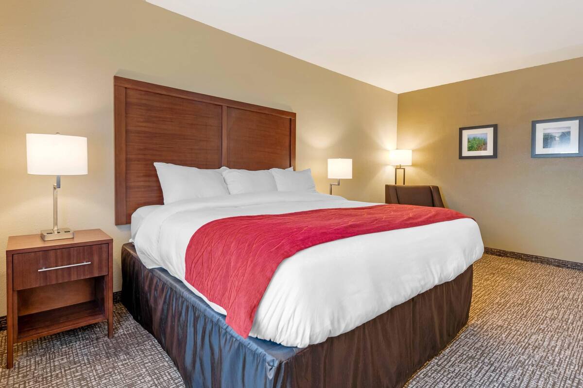 Premium bedding, pillow-top beds, desk, blackout curtains