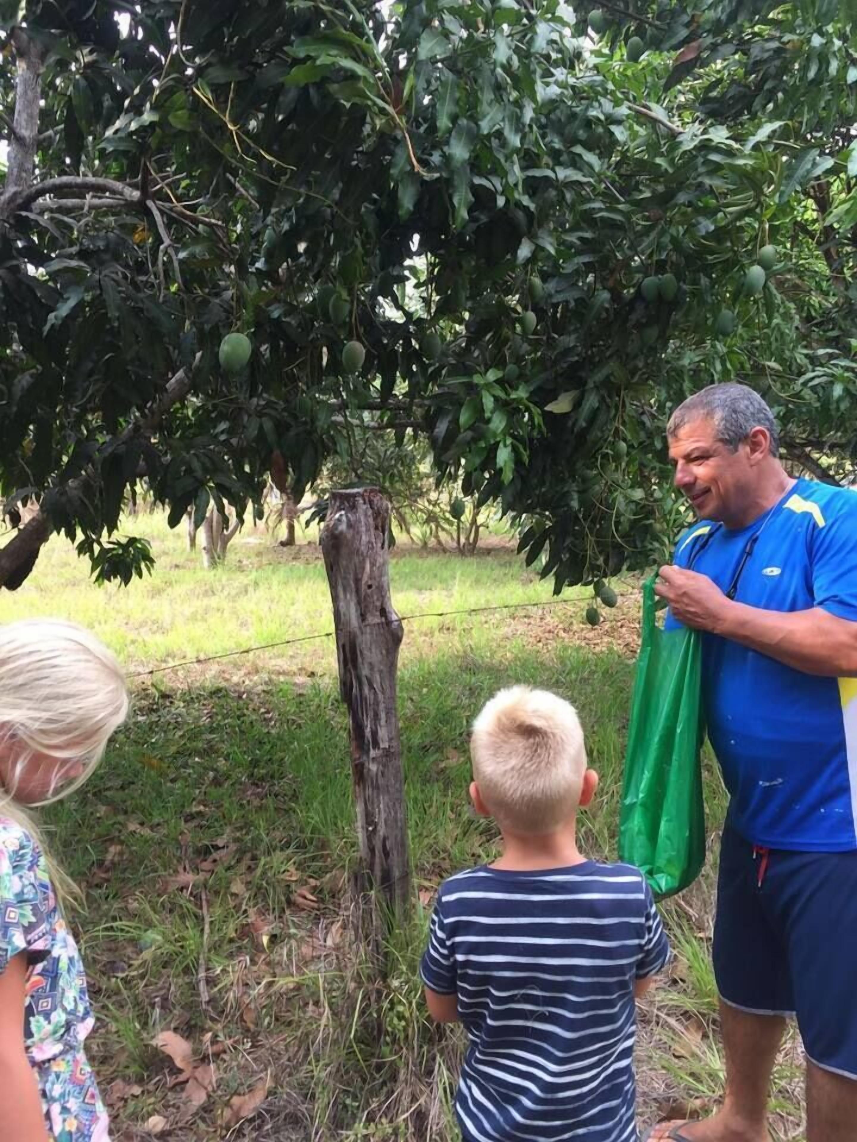 Un homme vêtu d’une chemise et d’un short bleus se tient à côté d’un arbre portant des fruits verts, avec un enfant et une femme à proximité.