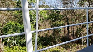 A metal fence with a view of a forested area beyond it. - Relaxing Luxury Jungle Escape in Quepos with Jacuzzi, Zipline, Pool and more (Parrita)