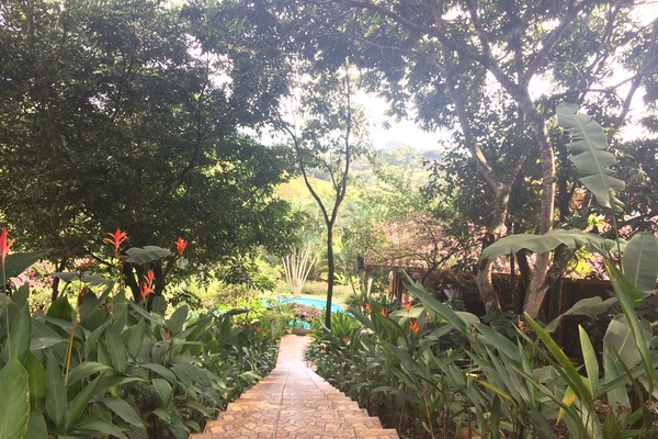 Stairs to pool and bungalow area