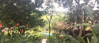 4-Acres Retreat Center, 30 People, Pool, Staffed, Outdoor Dining, Workshops