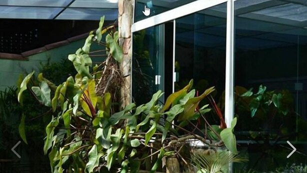 A building with a glass facade, a stone wall with plants, and a potted plant in the foreground. - Pousada Belo Horizonte (Macaé)