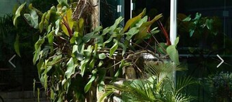 Pousada Belo Horizonte