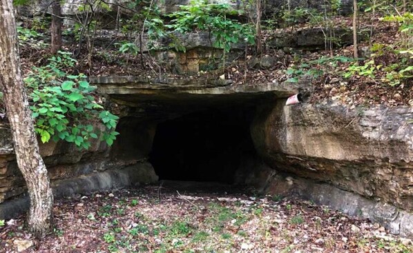 A natural cave entrance surrounded by trees and foliage.
