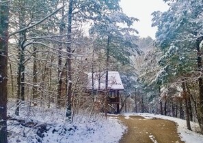 Property grounds - Enchanted Forest Hilltop Hideaway- 1 bedroom Cabin with Jacuzzi tub! Hiking Trail & Cave on property! (Eureka Springs)