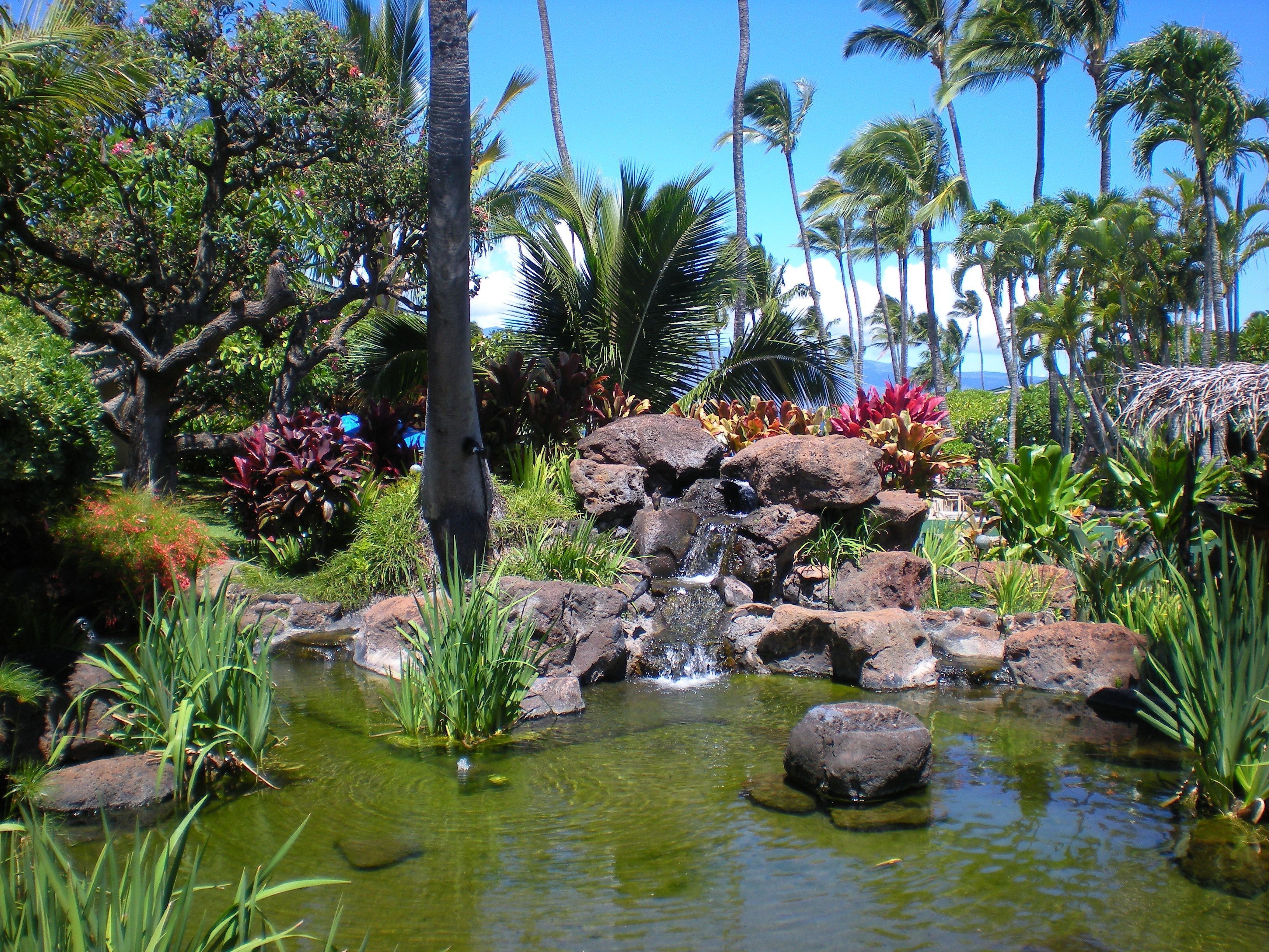 Jardines del alojamiento