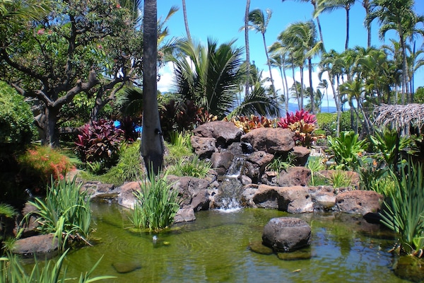 Napili Shores coi pond