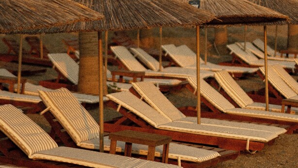 Una spiaggia con file di lettini e ombrelloni di paglia, con palme sullo sfondo.