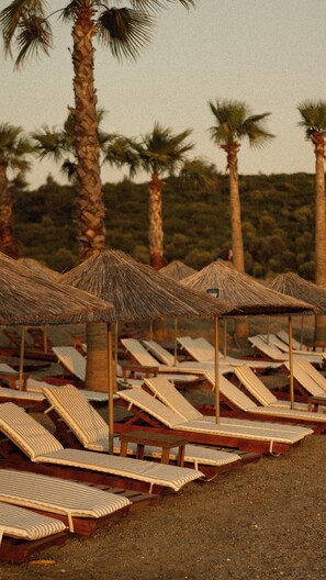 Une plage bordée de rangées de chaises longues et d’ombrelles en chaume, avec des palmiers en arrière-plan.