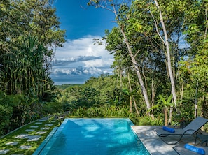 Outdoor pool - Encantada- Brand New Villa, Truly Spectacular with Mountain and Ocean Views (Savegre de Aguirre)