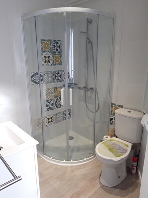 Shower, hair dryer, toilet paper