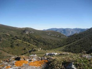 Ulkopuoli