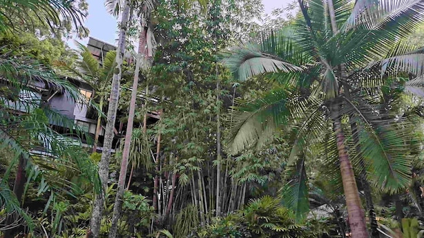 Une piscine entourée d’une végétation tropicale luxuriante et de quelques chaises en plastique.