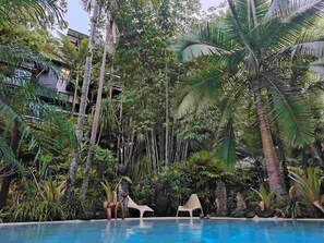 Une piscine entourée d’une végétation tropicale luxuriante et de quelques chaises en plastique.
