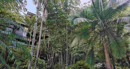 Alaya Ascend | Ubud 1-bedroom Bungalow | Sunshine Coast Retreat