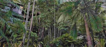 Alaya Ascend | Ubud 1-bedroom Bungalow | Sunshine Coast Retreat