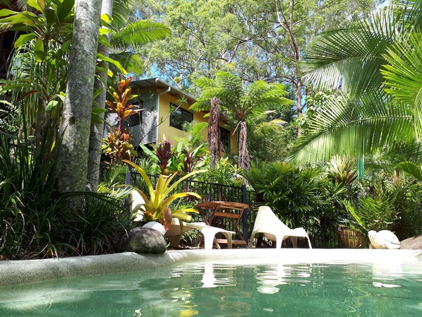 Indoor pool, outdoor pool