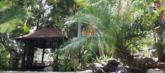 Bali sur la Sunshine Coast - Venez sentir la différence!