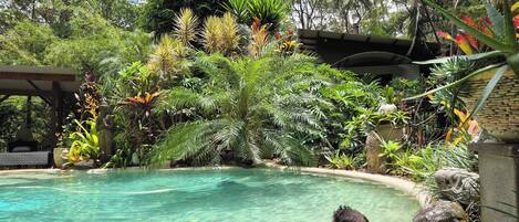 Indoor pool, outdoor pool