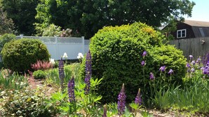 A garden with various plants and flowers, a wooden fence, and a house in the background.