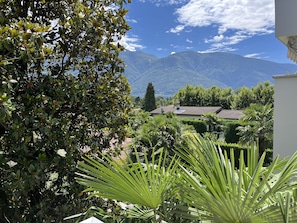 Property grounds - Nice Holiday home in good an quiet location (Ascona)