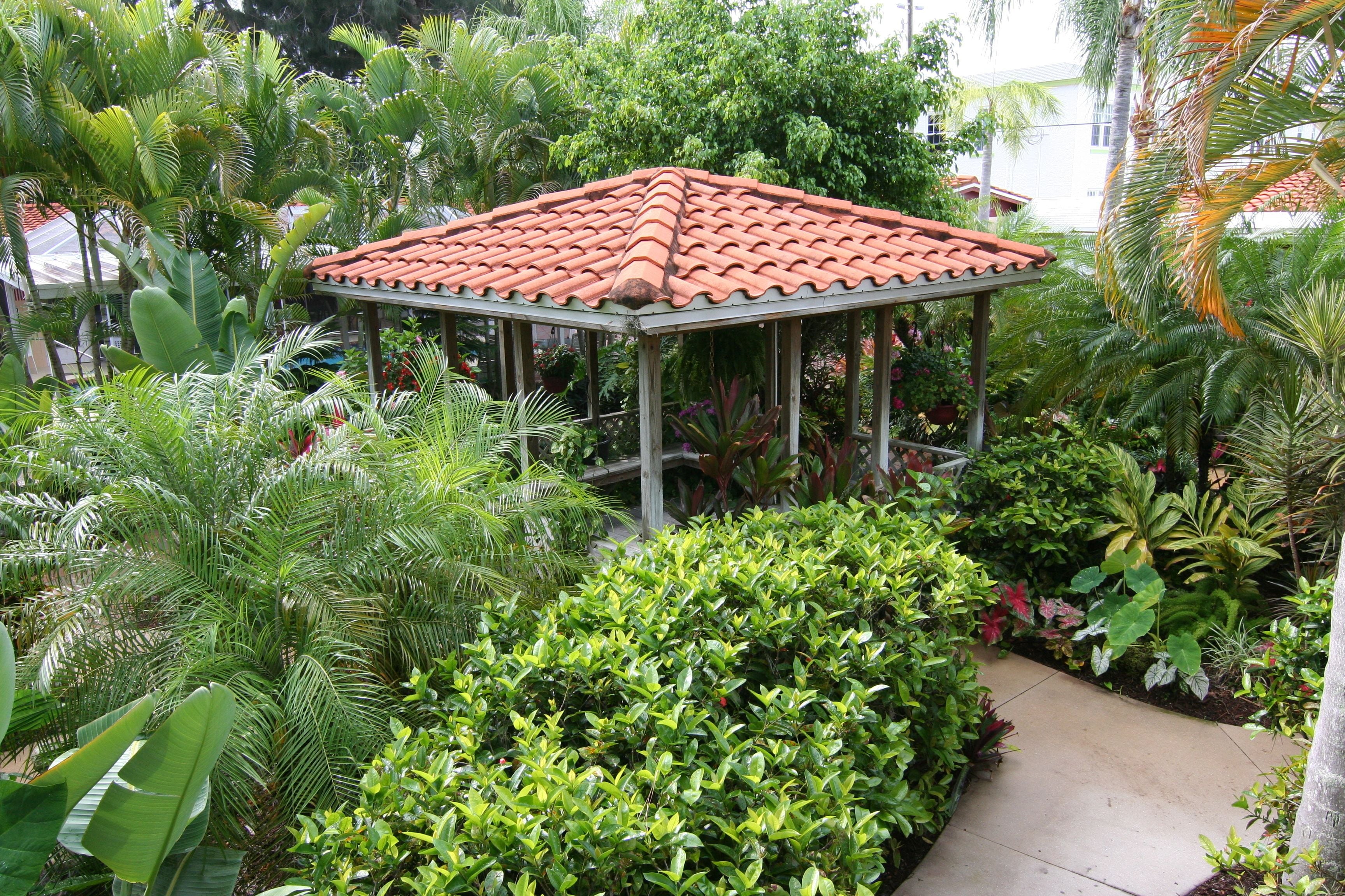 A gazebo with a tiled roof surrounded by lush greenery and a concrete pathway.