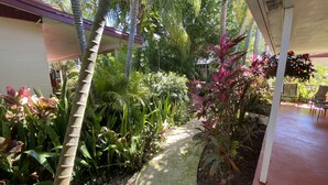 Un espacio al aire libre cubierto con un sendero de concreto, rodeado de diversas plantas tropicales y una palmera.