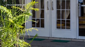 Un área de recepción con un letrero que dice “RECEPCIÓN” sobre un par de puertas dobles, un tapete verde en la entrada y una planta en primer plano.
