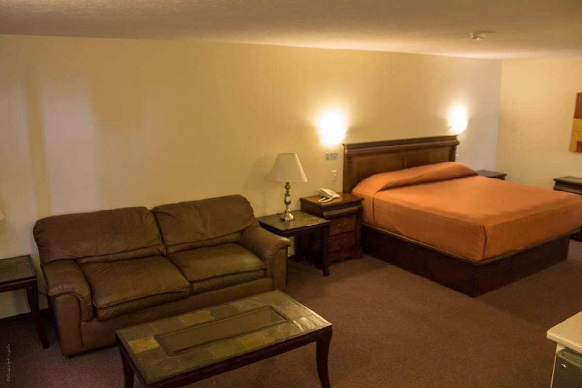 Premium Studio Suite, 1 King Bed with Sofa bed | Desk, laptop workspace, iron/ironing board, free WiFi
