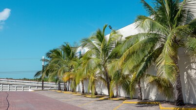 BONITTO INN® Altamira Zona Industrial