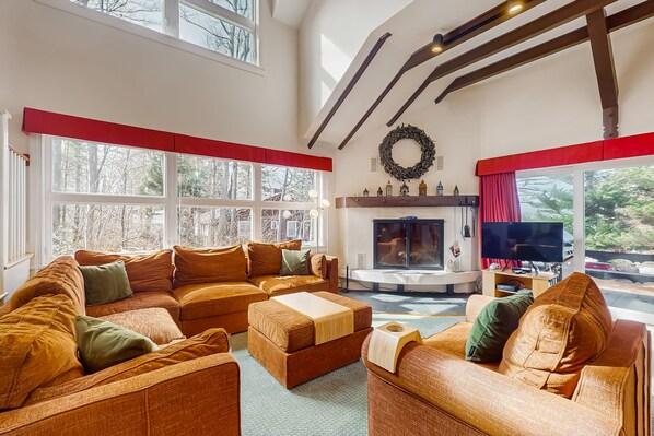 Télévision, cheminée, lecteur de DVD, livres