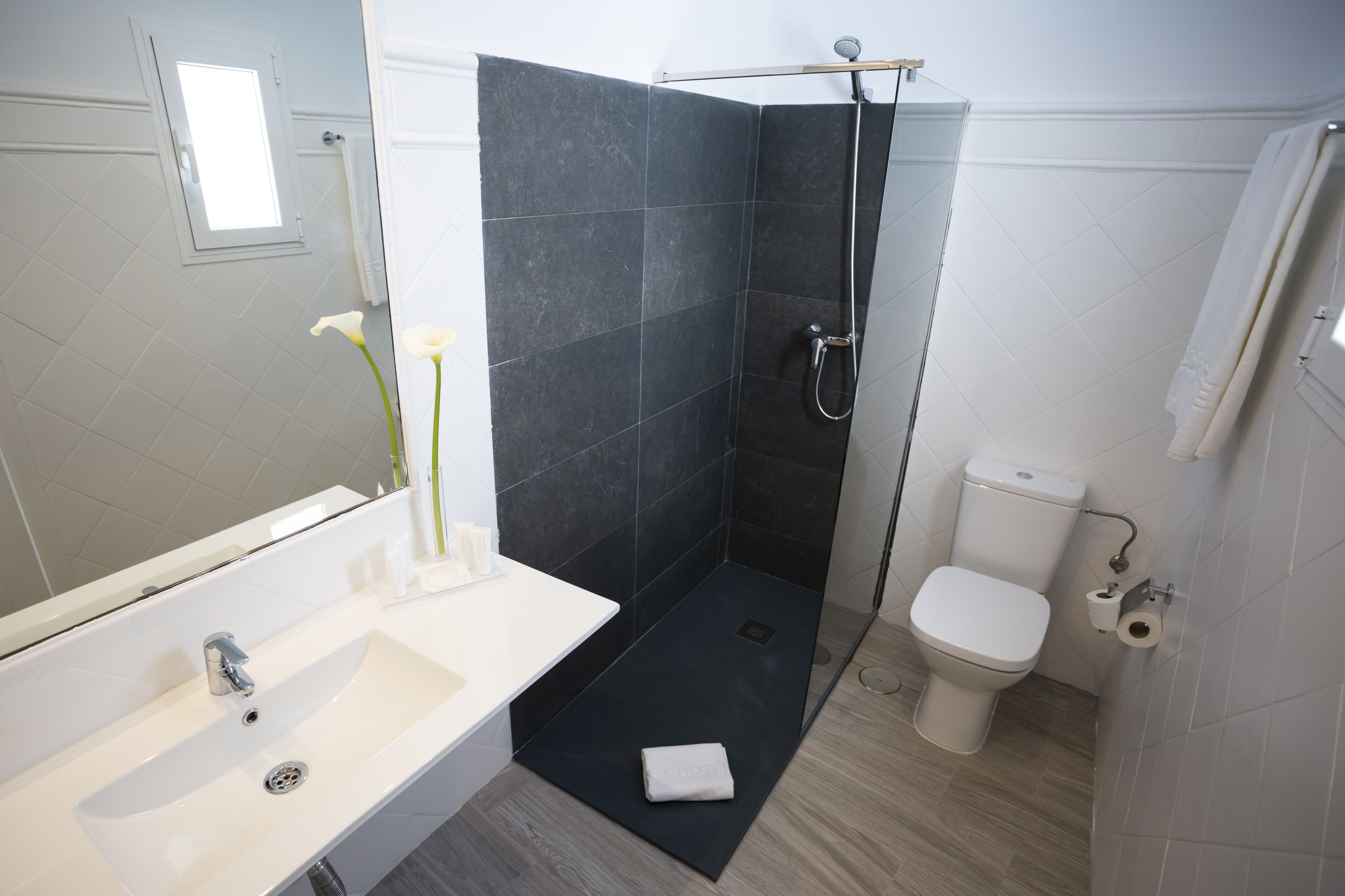 Photo - Basic Hotel Sevilla Catedral