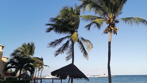 A coastal view with palm trees, a thatched umbrella, and a distant bridge.