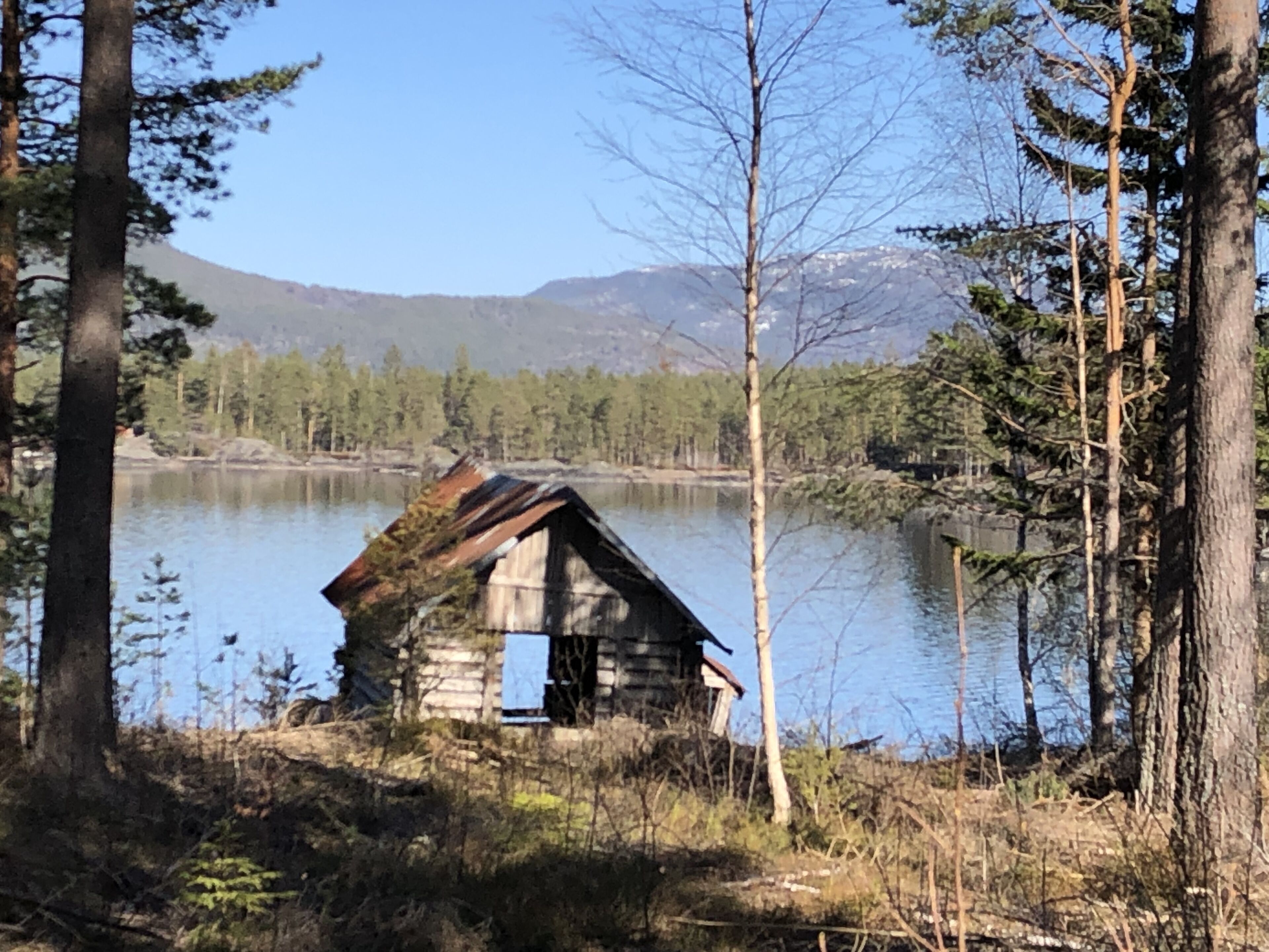 Un chalet rustique au bord d’un lac, entouré d’arbres et de montagnes.