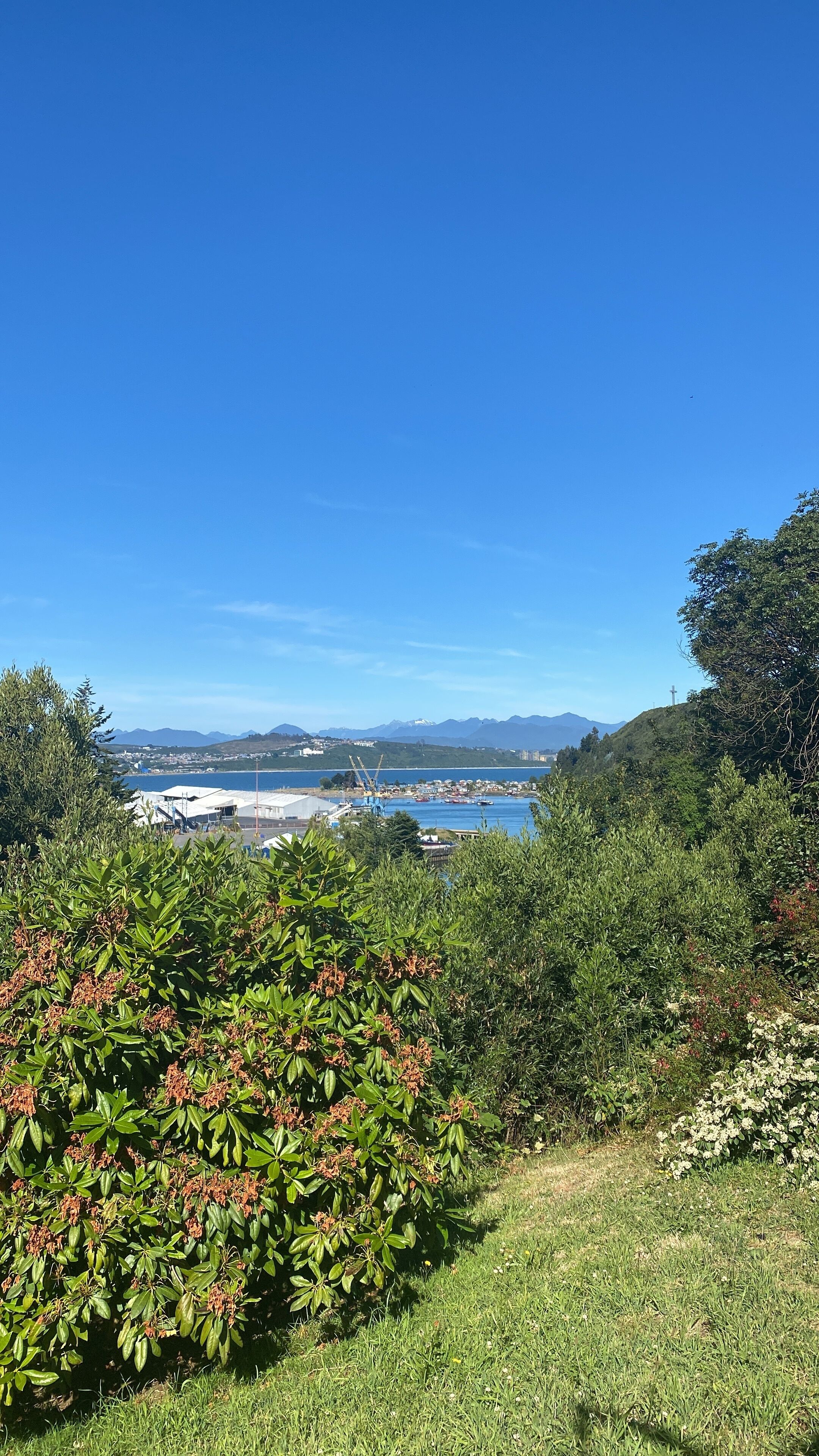 A coastal landscape with a clear sky, lush greenery, and a distant view of a harbor with boats and buildings.