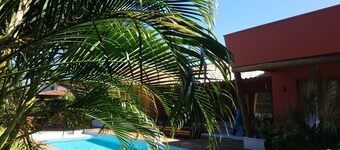 Pipa Casa Mandacarú