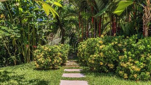A garden pathway with lush greenery and flowering bushes. - Don Pedro-Perfect for Couples & Families, Onsite Staff. (Savegre de Aguirre)